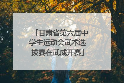 甘肃省第六届中学生运动会武术选拔赛在武威开赛
