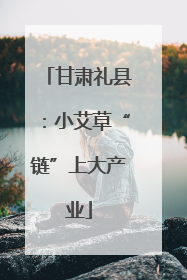 甘肃礼县：小艾草“链”上大产业
