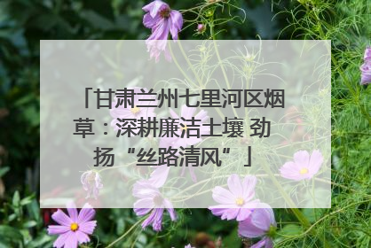 甘肃兰州七里河区烟草：深耕廉洁土壤 劲扬“丝路清风”