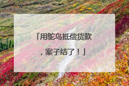 用鸵鸟抵偿货款，案子结了！