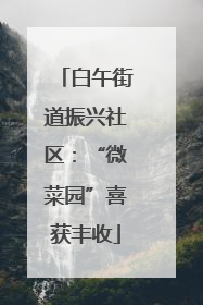 白午街道振兴社区：“微菜园”喜获丰收