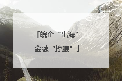 皖企“出海” 金融“撑腰”