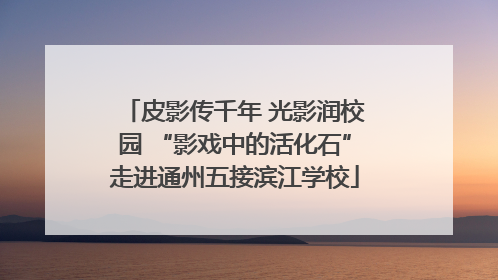 皮影传千年 光影润校园 “影戏中的活化石”走进通州五接滨江学校
