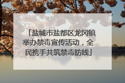 盐城市盐都区龙冈镇举办禁毒宣传活动，全民携手共筑禁毒防线