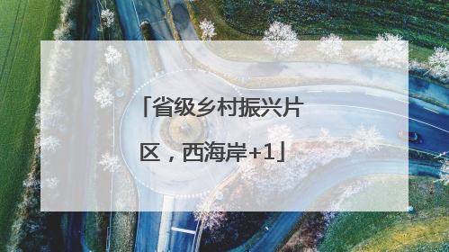 省级乡村振兴片区，西海岸+1