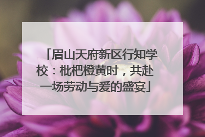 眉山天府新区行知学校：枇杷橙黄时，共赴一场劳动与爱的盛宴