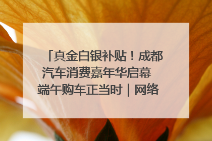 真金白银补贴！成都汽车消费嘉年华启幕 端午购车正当时｜网络中国节·端午