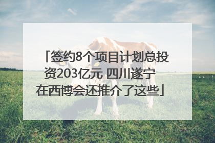 签约8个项目计划总投资203亿元 四川遂宁在西博会还推介了这些