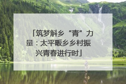 筑梦斛乡“青”力量：太平畈乡乡村振兴青春进行时