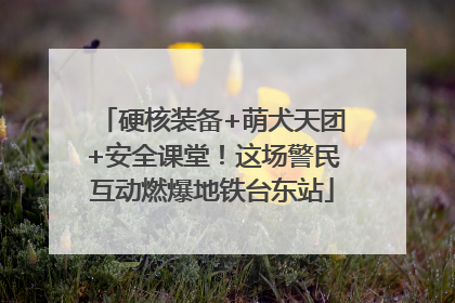 硬核装备+萌犬天团+安全课堂！这场警民互动燃爆地铁台东站