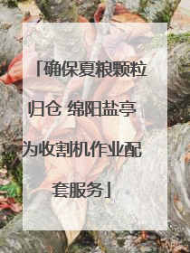 确保夏粮颗粒归仓 绵阳盐亭为收割机作业配套服务