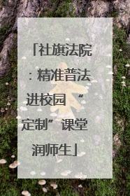 社旗法院：精准普法进校园 “定制”课堂润师生