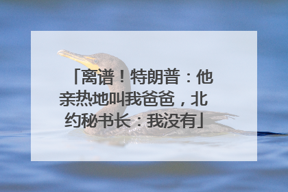 离谱！特朗普：他亲热地叫我爸爸，北约秘书长：我没有