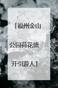 福州金山公园荷花盛开引游人