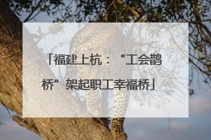 福建上杭：“工会鹊桥”架起职工幸福桥