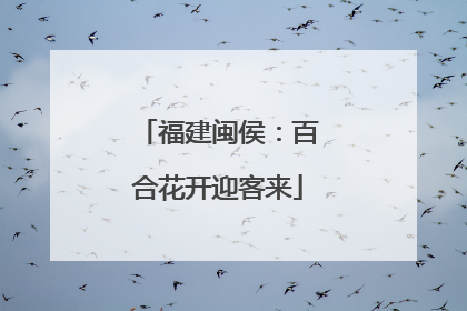福建闽侯：百合花开迎客来