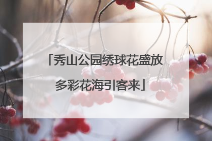秀山公园绣球花盛放 多彩花海引客来