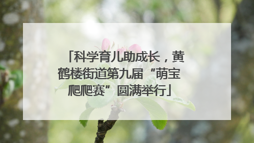 科学育儿助成长，黄鹤楼街道第九届“萌宝爬爬赛”圆满举行