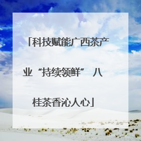 科技赋能广西茶产业“持续领鲜” 八桂茶香沁人心