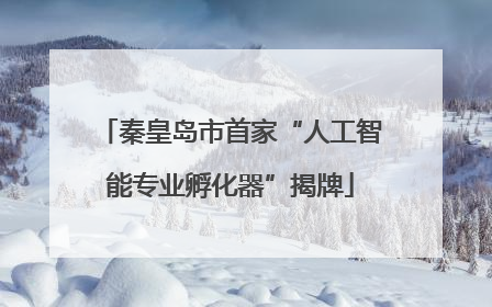 秦皇岛市首家“人工智能专业孵化器”揭牌