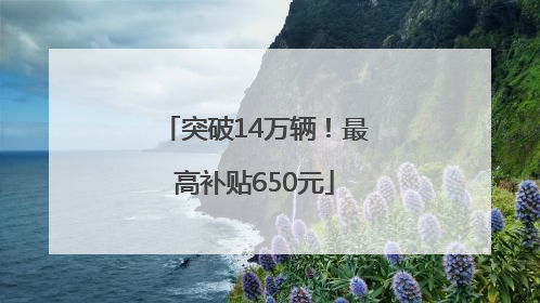 突破14万辆！最高补贴650元