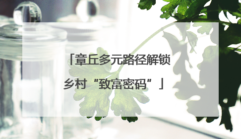 章丘多元路径解锁乡村“致富密码”