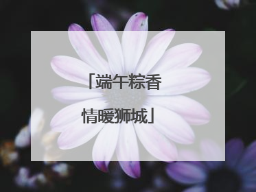 端午粽香 情暖狮城