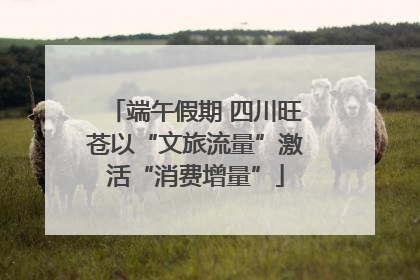 端午假期 四川旺苍以“文旅流量”激活“消费增量”