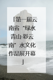 第一届云南省“绿水青山·彩云南”水文化作品展开幕