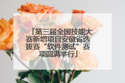 第三届全国技能大赛新增项目安徽省选拔赛“软件测试”赛项圆满举行