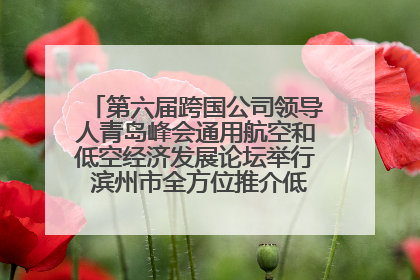 第六届跨国公司领导人青岛峰会通用航空和低空经济发展论坛举行 滨州市全方位推介低空经济发展优势