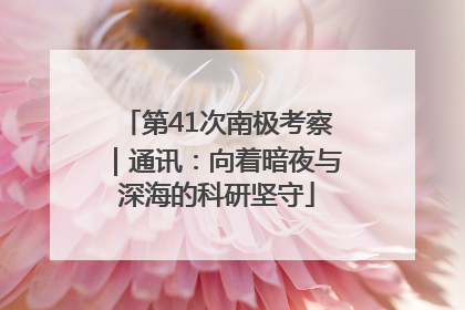 第41次南极考察｜通讯：向着暗夜与深海的科研坚守