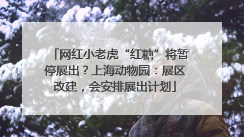 网红小老虎“红糖”将暂停展出？上海动物园：展区改建，会安排展出计划