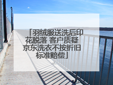 羽绒服送洗后印花脱落 客户质疑京东洗衣不按折旧标准赔偿