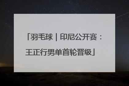 羽毛球｜印尼公开赛：王正行男单首轮晋级