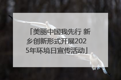 美丽中国我先行 新乡创新形式开展2025年环境日宣传活动