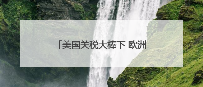 美国关税大棒下 欧洲多行业恐陷生存危机