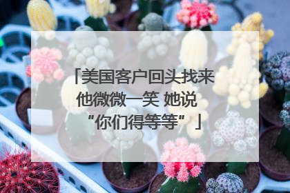 美国客户回头找来 他微微一笑 她说“你们得等等”