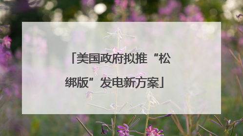 美国政府拟推“松绑版”发电新方案