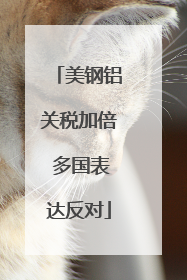 美钢铝关税加倍 多国表达反对