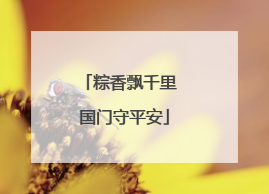 粽香飘千里 国门守平安