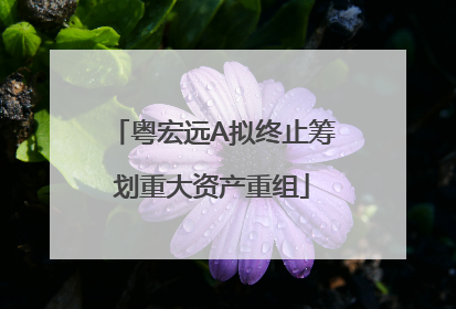 粤宏远A拟终止筹划重大资产重组