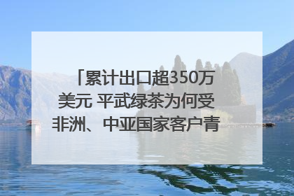 累计出口超350万美元 平武绿茶为何受非洲、中亚国家客户青睐？｜发布会观察