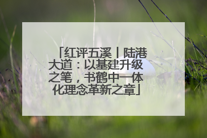红评五溪丨陆港大道：以基建升级之笔，书鹤中一体化理念革新之章