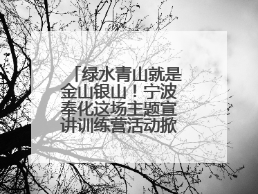绿水青山就是金山银山！宁波奉化这场主题宣讲训练营活动掀起青春热潮