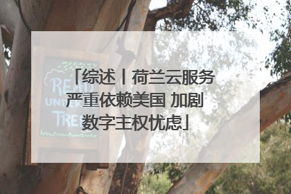 综述丨荷兰云服务严重依赖美国 加剧数字主权忧虑