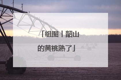 组图丨韶山的黄桃熟了