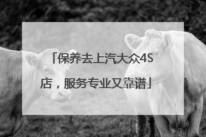 保养去上汽大众4S店，服务专业又靠谱