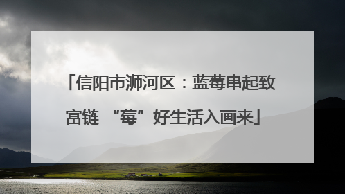 信阳市浉河区：蓝莓串起致富链 “莓”好生活入画来