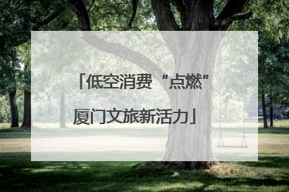 低空消费“点燃”厦门文旅新活力